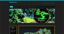 Desktop Screenshot of bonsainc.com