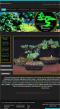 Mobile Screenshot of bonsainc.com