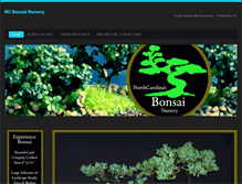 Tablet Screenshot of bonsainc.com
